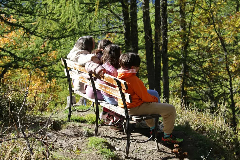 Vier Kinder sitzen auf einer Holzbank und blicken in den herbstlichen Wald