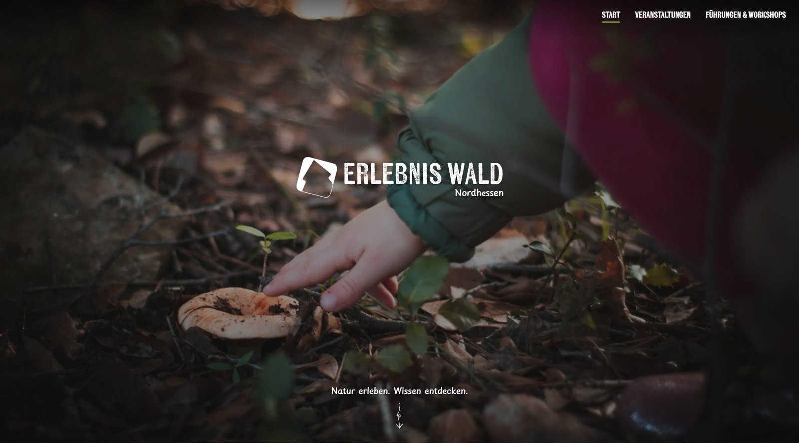 Vorschau der Startseite: Logo Erlebnis Wald Nordhessen über einem Waldfoto, oben die Navigation